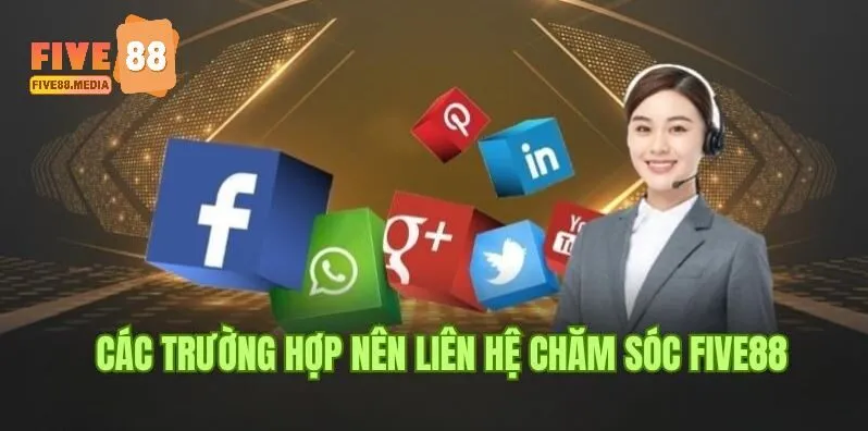 Trường hợp cần Liên hệ five88